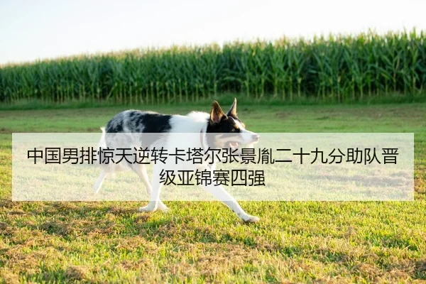 中国男排惊天逆转卡塔尔张景胤二十九分助队晋级亚锦赛四强